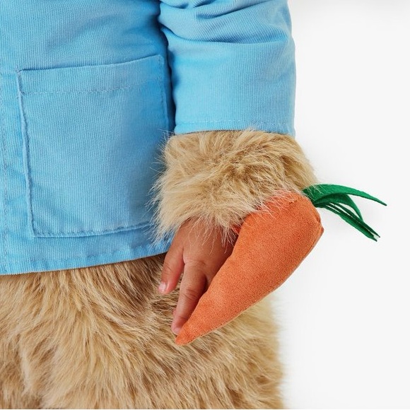 Peter Rabbit Costume from Pottery Barn Kids. Size 12-24 months. - Picture 2 of 10